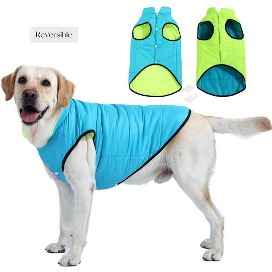 Discover Reversible Dog Coat With Leash Hole For Small Large Dogs Warm Winter Pet Jacket Waterproof Chihuahua Labrador Retriever Parka