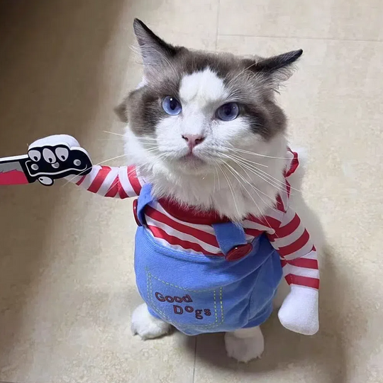 Discover Funny Cat Clothes Halloween Cat  Costume Cute Pet Party Clothing Small Medium Cats Pets Dogs Cosplay Sphynx Ragdoll Cat Apparel
