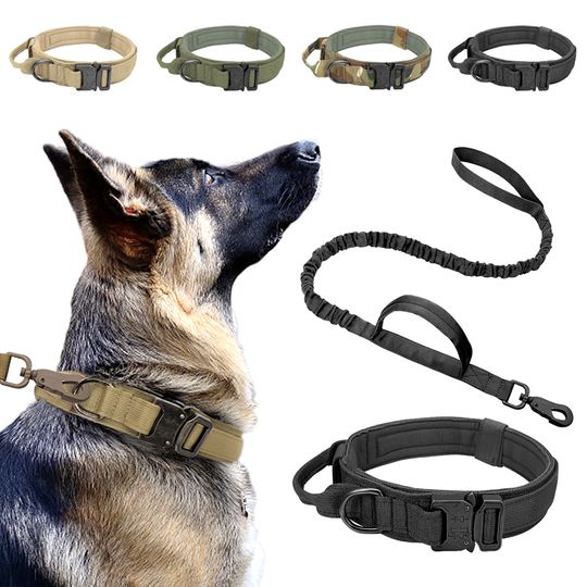 Discover Tactical Dog Collar Military Adjustable Duarable Nylon Lead For Medium Large Walking Training Pet Accessory Breakaway Leash Rope