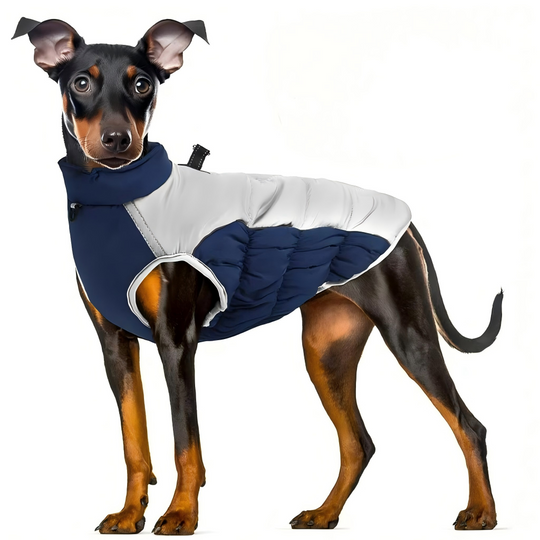 Discover Dog Costume Dog Jacket for Winter Warm Windproof Clothes for Puppy Dog Clothing Apparels for Medium Large Dogs Waterproof Coat
