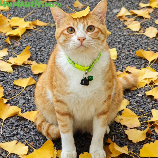 Discover Fashion Mini Tracker Smart Find Tag Universal Pet Tracking History Trajectory Airtag Global Positioning for Dog Cat VerdantTrace