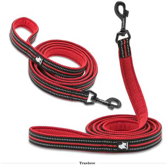 Discover Truelove Pet Leash 200CM