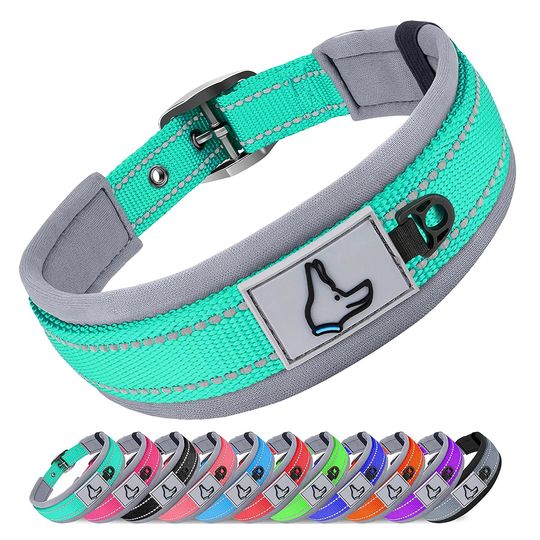 Discover Padded Dog Collars for small Medium large Dogs Reflective Wide Pet Collars Adjustable Heavy Duty Nylon Neoprene Dog Collar