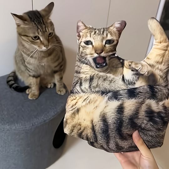 Discover A customizable pet pillow, personalized 3D portrait plush toy for cats and dogs, mini animal pillow toy