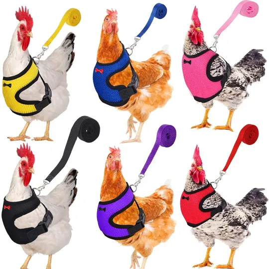Discover Fashion Chicken Duck Vest Hen Belt Pet Harness Matching Collars Bow Comfortable Leads Breathable Poultry Supplies