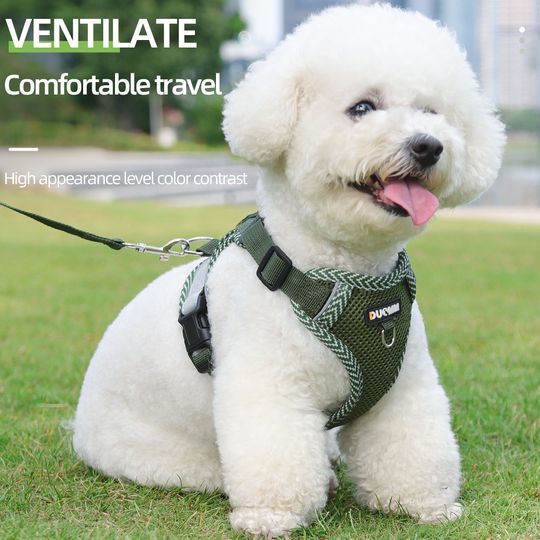 Discover Dog Harness Cat Leash Small Dog Breathable Summer Puppy Bichon Frise Breathable Harnesses Teddy Lead Pet Leash Dog Accessories