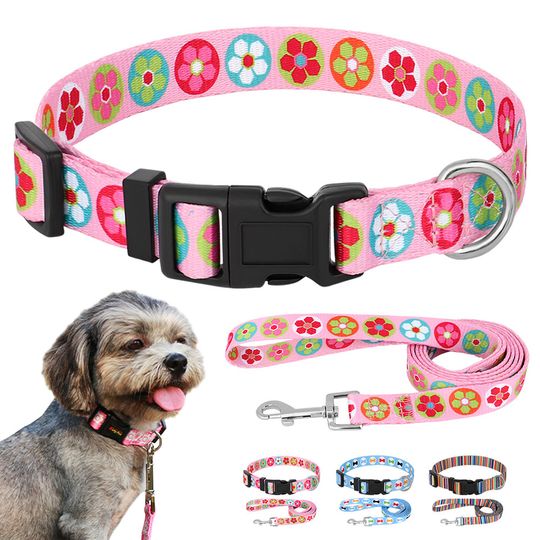 Discover Nylon Cute Puppy Dog Collar Leash Set Adjustable Flower Cat Collars Walking Leashes For Small Medium Pets XS S M
