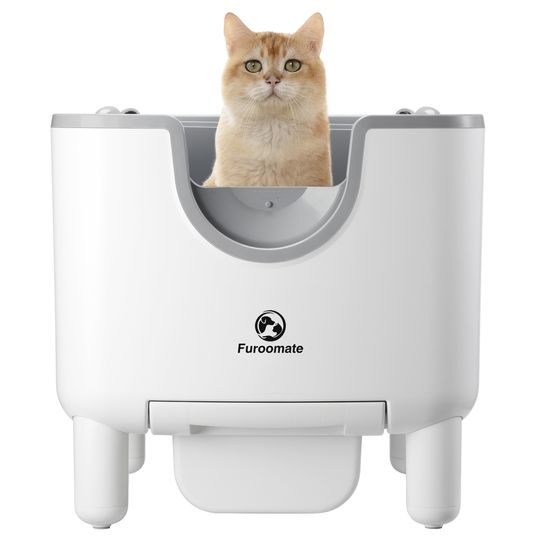 Discover F6 Self-Cleaning Litter Box - Open-Top Automatic Cat Litter Box with Odor Control, Safety Features, and Easy Maintenance