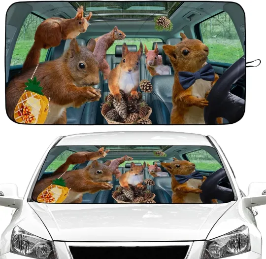 Discover Car Windshield Sun Shade Foldable Sunshade Front  Accessories (59x27.5 inches)