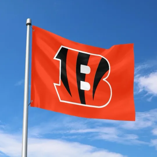 Discover Cincinnati Fans Football Team House Flag