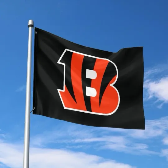Discover Cincinnati Fans Football Team House Flag