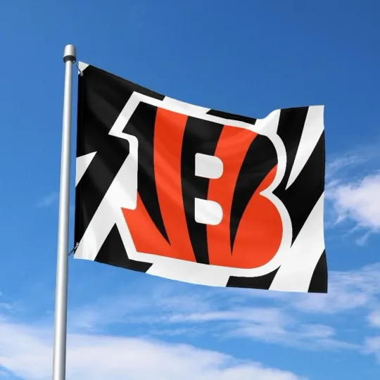 Discover Cincinnati Fans Football Team House Flag