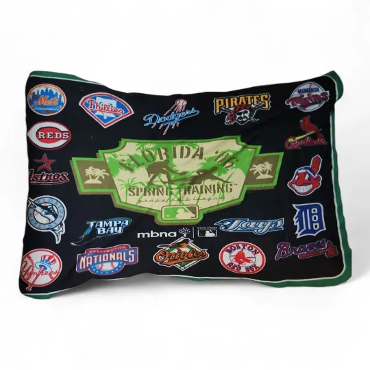 Discover MLB Grapefruit League FL Fleece Blanket 64"x49" 18 Logos 2006 Spring Training