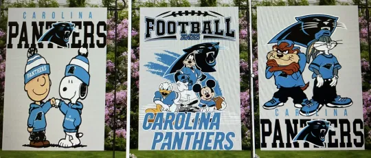 Discover Garden Flag 12x18 football Football Panthers Handmade Double Sided Snoopy Taz Mickey