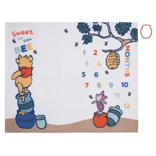 Discover Disney Winnie The Pooh Photo Op Milestone Baby Disneyland Fleece Blanket