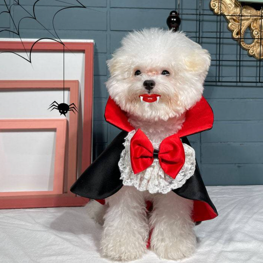 Discover Halloween Pet Cosplay Vampire Cloak for Small Medium Dog Cat Puppy Costumes Kawaii Pet Christmas Festival Outfits