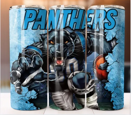 Discover Tumbler Stainless Steel Football Panthers Team