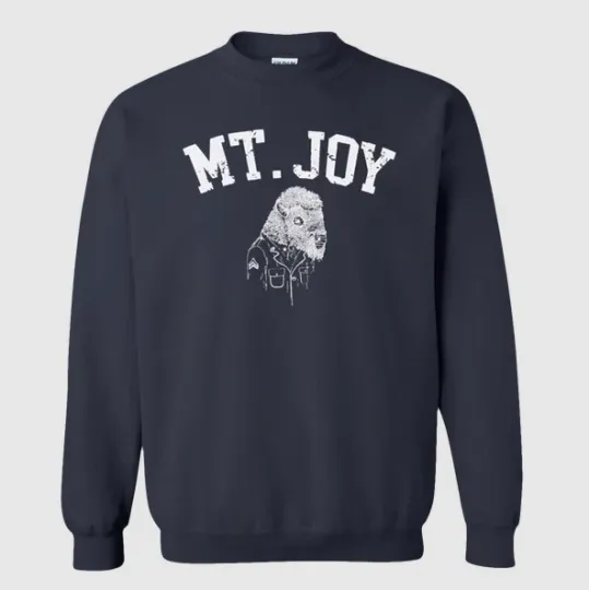 Discover Mt Joy Bison Unisex Sweatshirt