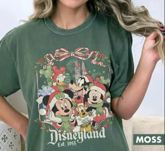 Discover Mickey and Friends Disneyland Christmas Shirt, Mickey Family comfort color shirt