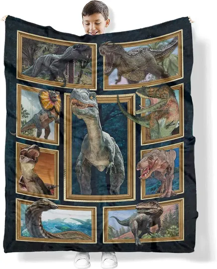 Discover Dinosaur Blanket, for Boys Girls Kids Quilt, Fleece Sherpa Dinosaur Lover Gift