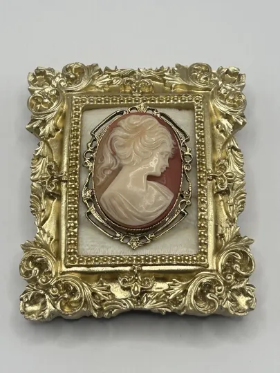 Discover Vintage Style Cameo Brooch Gold Tone Frame Unbranded Woman Profile Pin