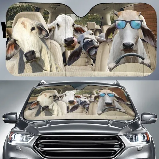 Discover Brahman Cattle Car Sunshade Personalized Windshield UV Protector for Vehicles