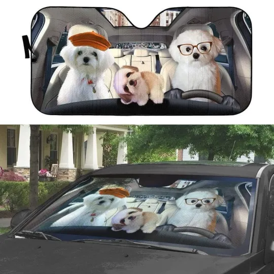 Discover Bichon Frise Dog Car Sunshade, Car Windshield