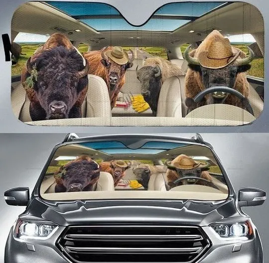 Discover Australian Bison Car Sunshade, Car Windshield