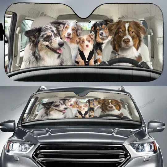 Discover Australian Shepherd Dog Car Sunshade, Car Windshield