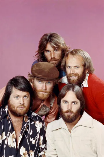 Discover The Beach Boys Rock Musicians Print Wall Art Home Decor - POSTER 20x30