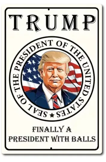 Discover 2024 Tin Metal Sign Donald Trump Trump Finally a President with Balls