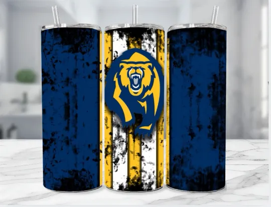 Discover UCLA Bruins NCAA Football Basketball Stainless Steel Tumbler Version A