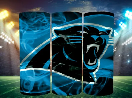 Discover Carolina Stainless Steel Tumbler Metal &Straw Dark Smoke