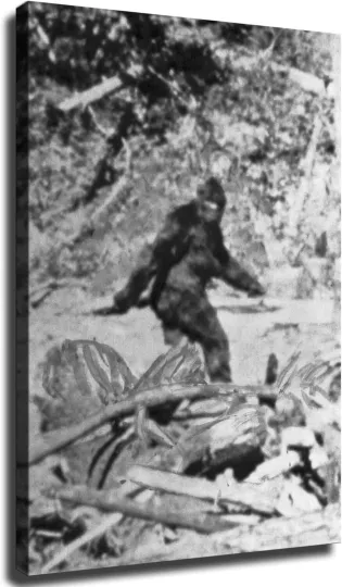 Discover Famous Sasquatch Sightings Poster Canvas Decorative Painting Poster Home Decor