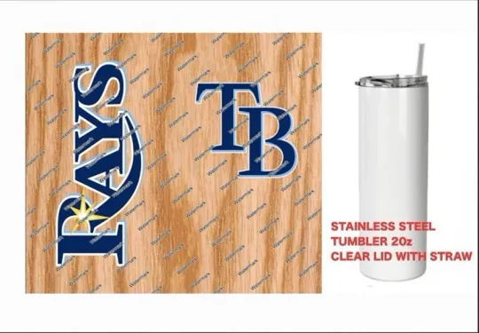 Discover RAYS   Tumbler 20 oz  Stainless Steel