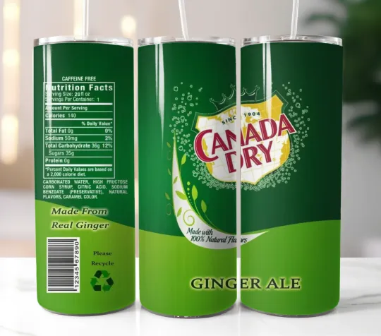 Discover Canada Dry Ginger Ale Tumbler 20oz Stainless Steel Straw Insulated Cup Mug