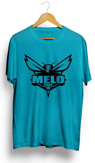 LaMelo Ball Charlotte Hornets T-Shirt