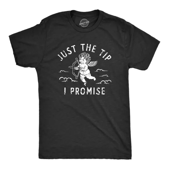 Discover Mens Just The Tip I Promise T Shirt Funny Valentines Day Cupids Arrow Tee for