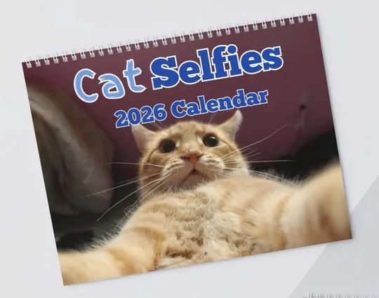 Discover Cat selfies Wall Calendar 2026, Christmas Gift Cat Mom gag gift Funny Weird Gifts White Elephant Secret Santa