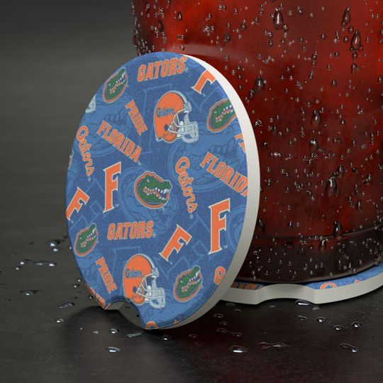 Discover Florida Gators Soapstone Car Coaster Insert
