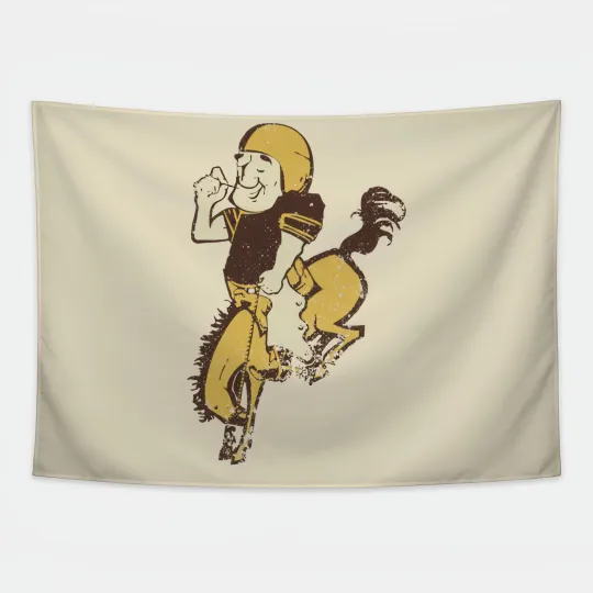 Discover Denver Football 3x5 ft Retro Classic Logo Flag - football Gift Best Banner
