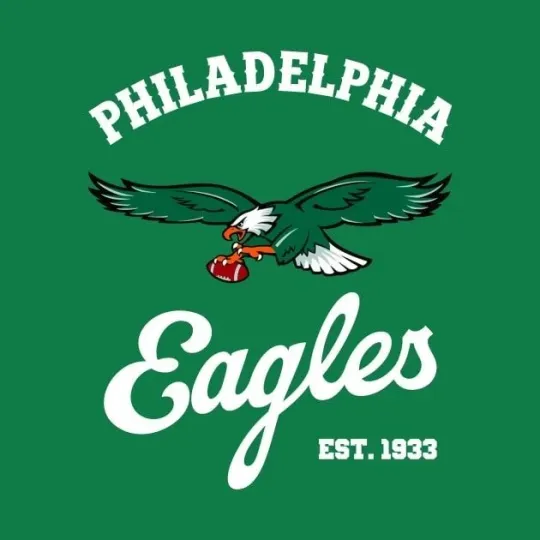 Discover For Philadelphia Football fans 3x5 ft EST. 1933 Retro Flag - Home Banner