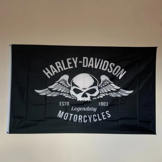 Haarleyy Davidson Motorcycle Skull Flag House Flag Garage Banner
