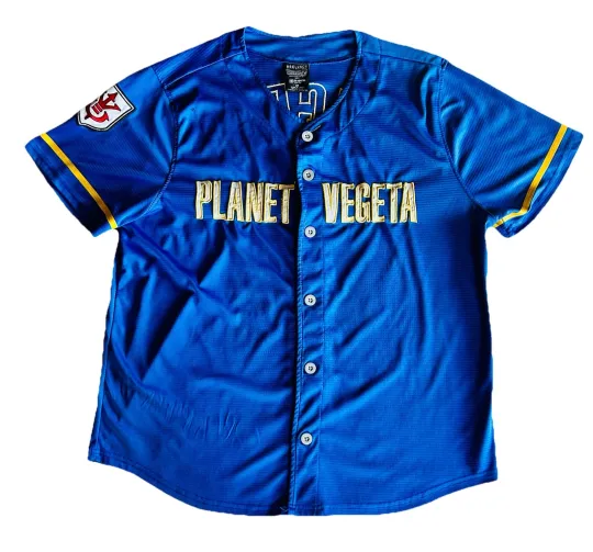 Dragon Ball Z Planet Vegeta Baseball Jersey