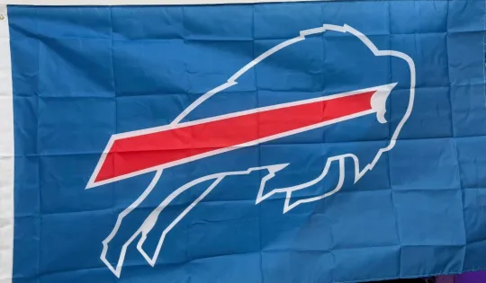 Buffalo Bills 3x5 Ft. Flag Banner Wall Outdoor Flagpole Garden Decor