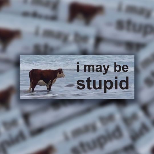 Funny Meme Bumper Sticker - 'I May Be Stupid' Car Decal