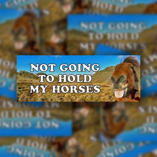 Discover Not Going To Hold My Horses Bumper Sticker: Meme Vinyl Sticker