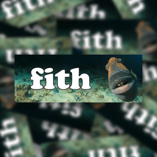 Discover Fith Meme Bumper Sticker: Water Resistant Vinyl Decal