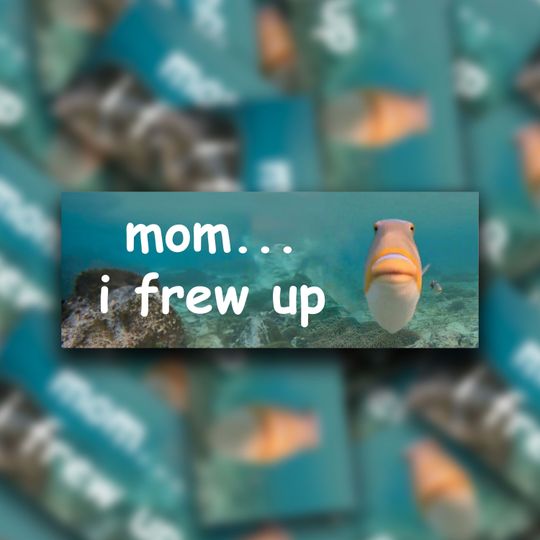 Discover Mom I Frew Up | Bumper Sticker | Meme Sticker | Water Resistant Vinyl Sticker