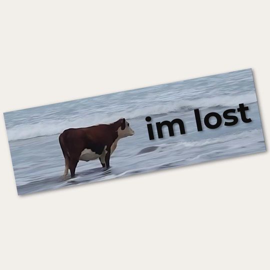 Discover Funny Bumper Sticker | I am Lost Bumper Sticker | High-Quality Vinyl Sticker | Multiple Sizes | Funny Car Sticker | Funny Sticker Decal